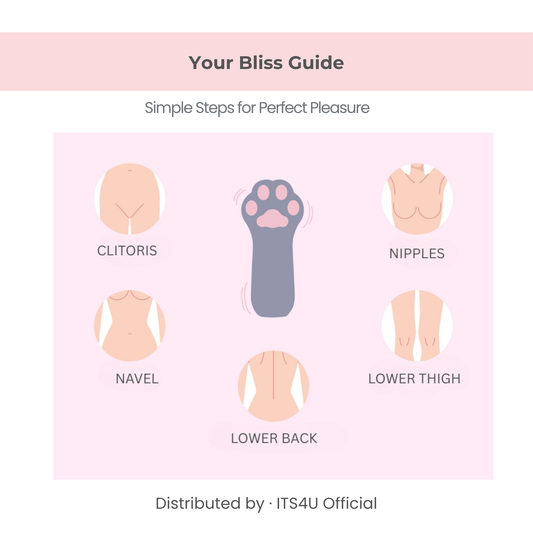 Female adult toy usage guide diagram illustrating areas for perfect pleasure and stimulation.
