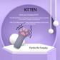 DIDO Kitten
