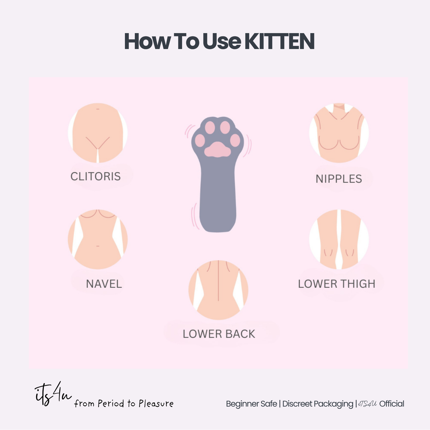 DIDO Kitten