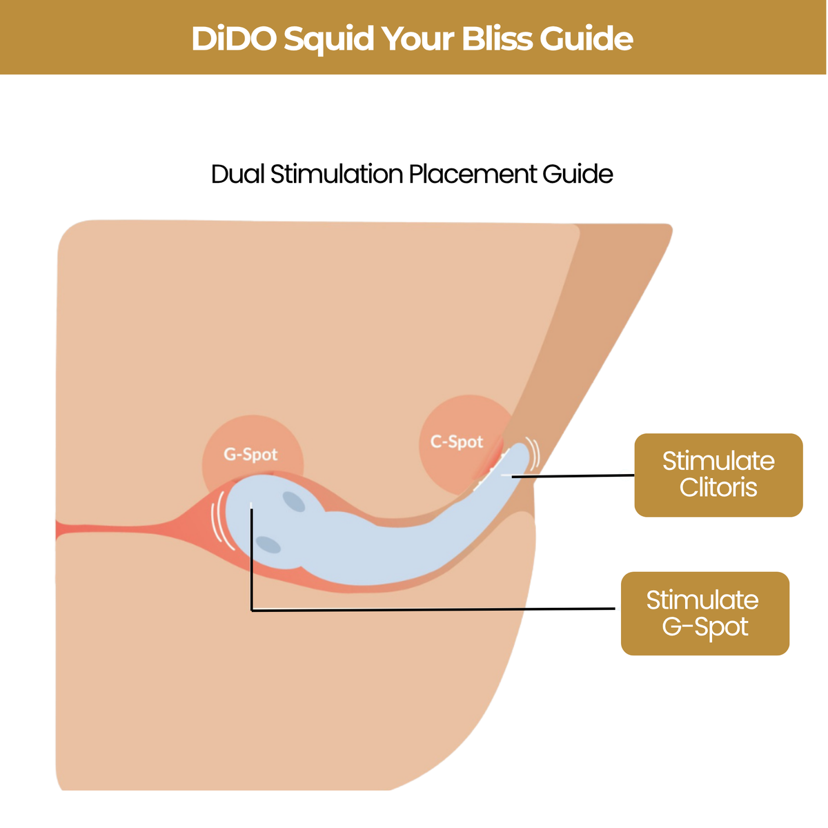 Squid - Dual End Vibrator