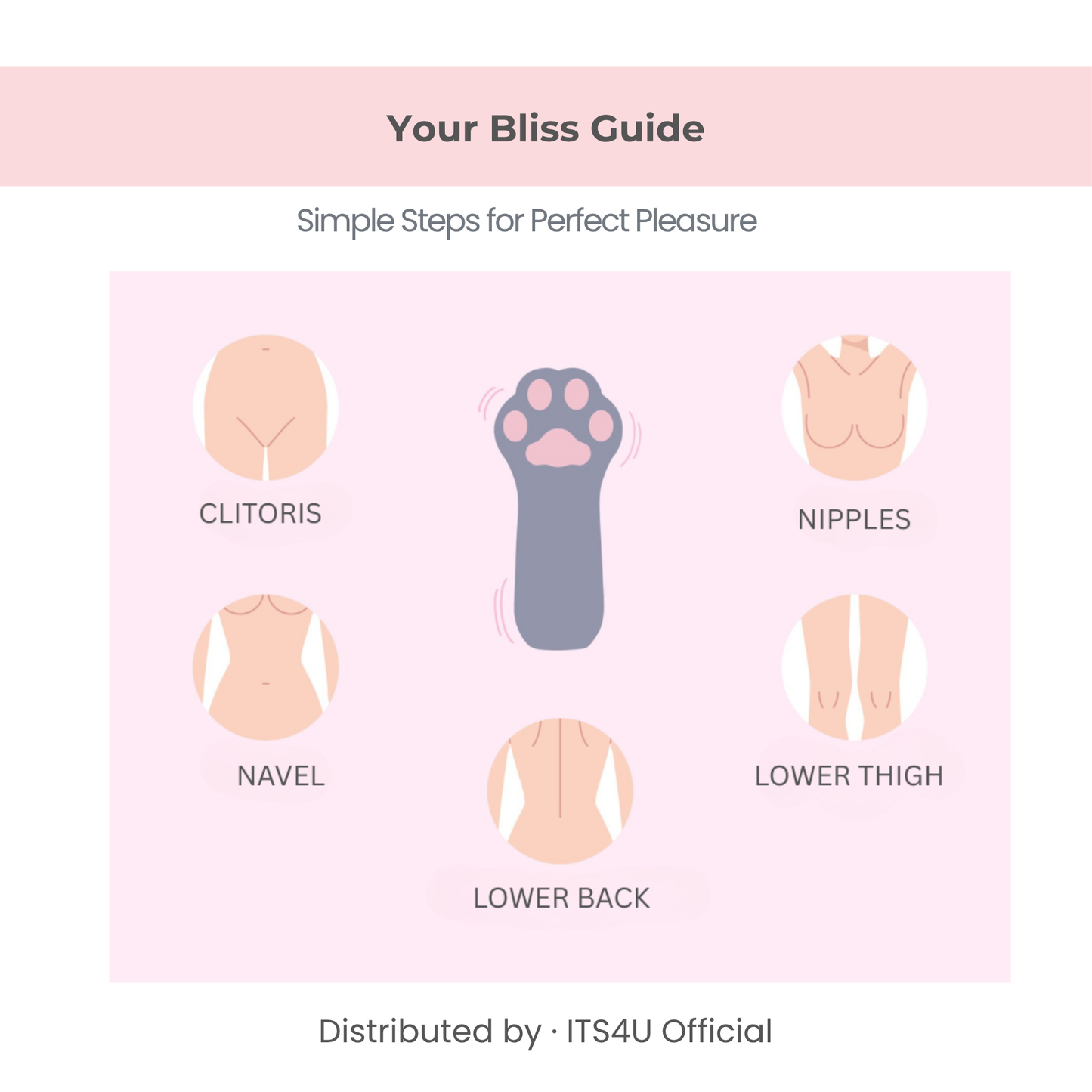 Female adult toy usage guide diagram illustrating areas for perfect pleasure and stimulation.