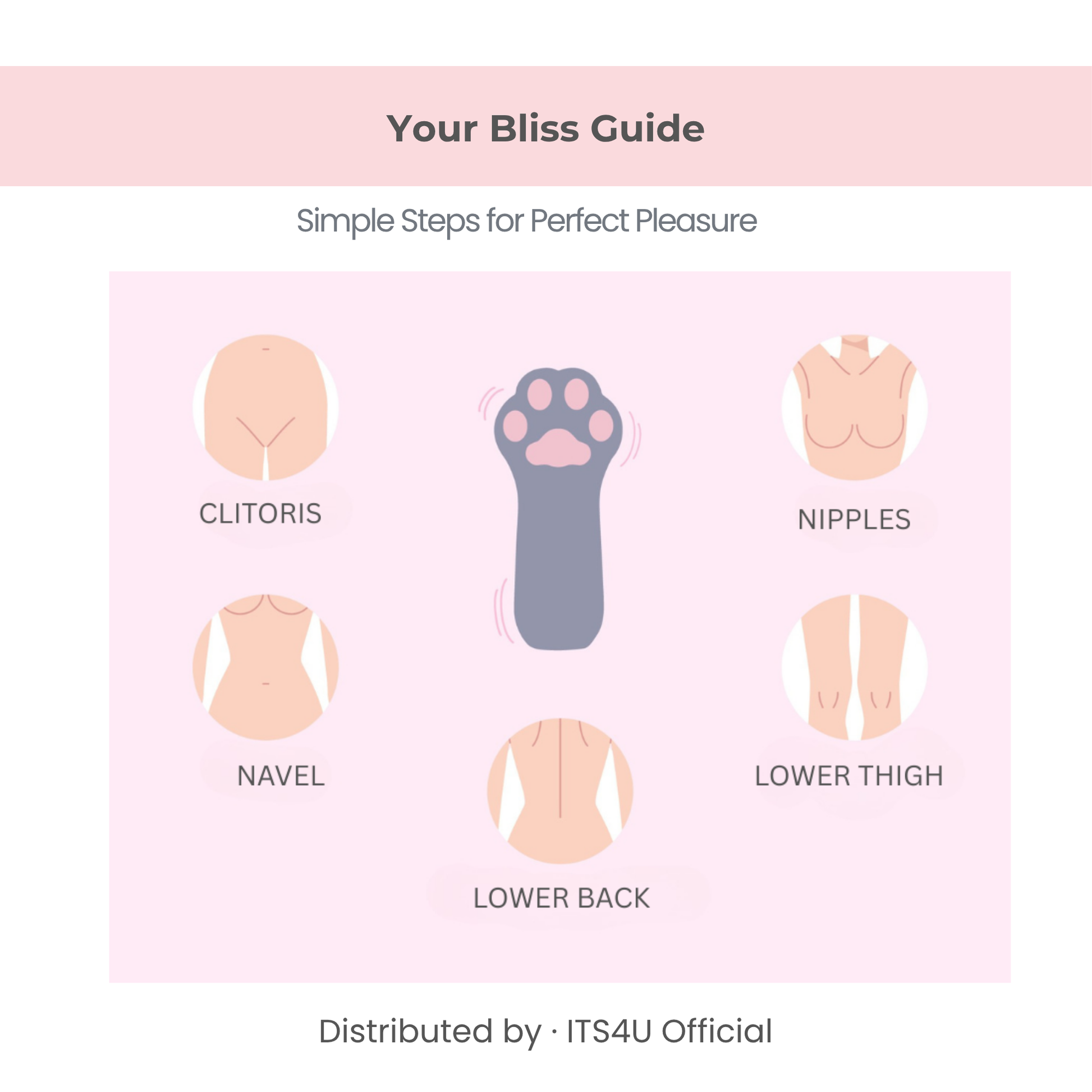Female adult toy usage guide diagram illustrating areas for perfect pleasure and stimulation.