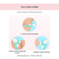Seahorse - Suction & Clitoral Vibrator