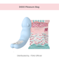 DIDO Pleasure Bag – Vibrator & Lubricant Bundle